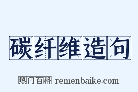 碳纤维造句是什么意思的图片